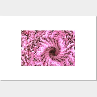 Whirly Swirl of Pink Petals Posters and Art